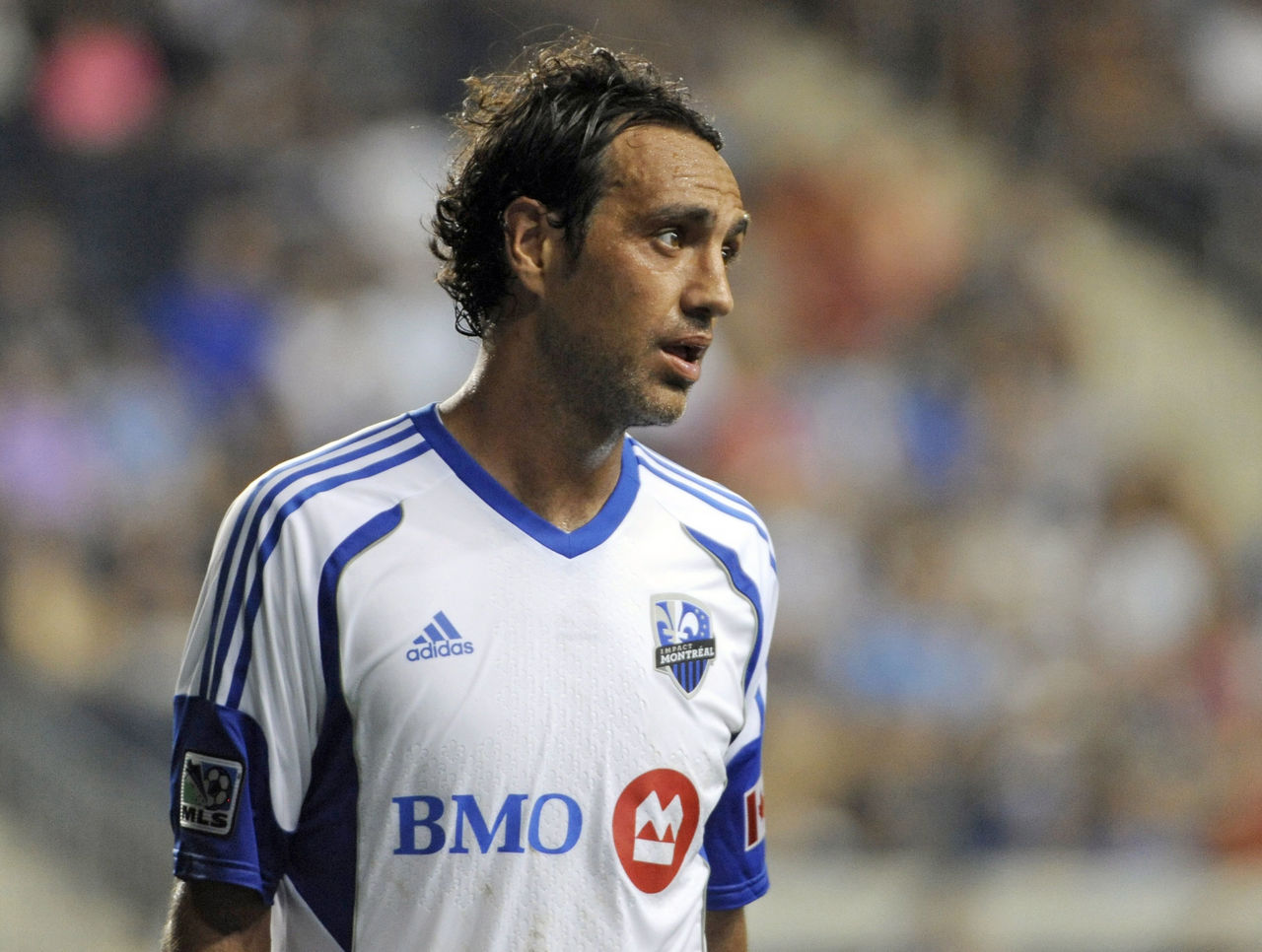  p>亚历山德罗·内斯塔(alessandro nesta),1976年3月19日生于意大利