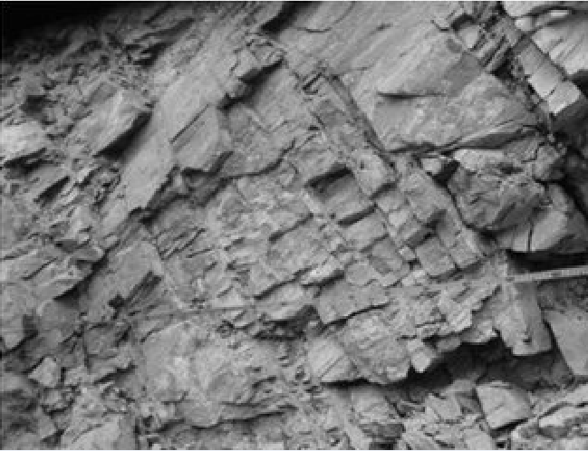 如平移断层,剪节理等属于此类. /p>