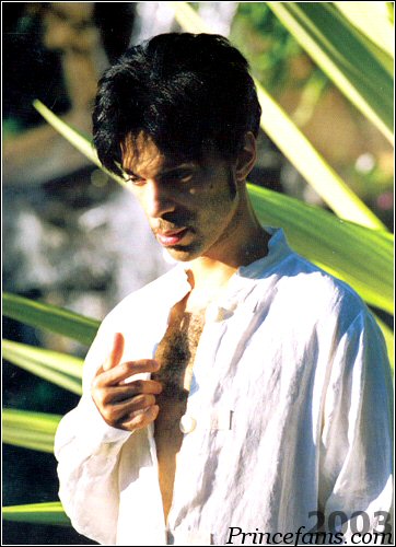 原名普林斯·罗杰斯·内尔森(prince rogers nelson), a target="