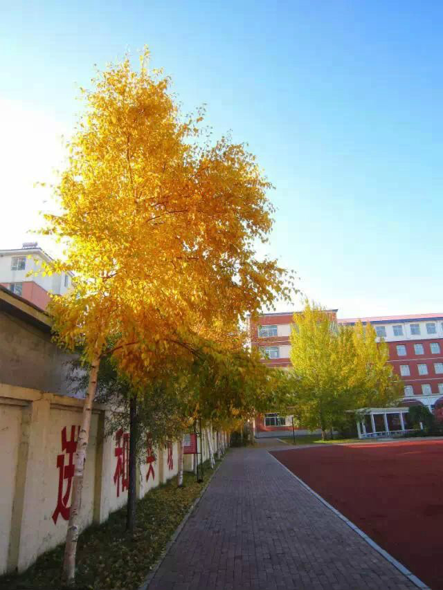  p>在蛟河市的西南郊,坐落着蛟河教育的璀璨明珠―――蛟河一中.