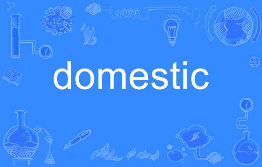 Domestic（英语单词） 百度百科