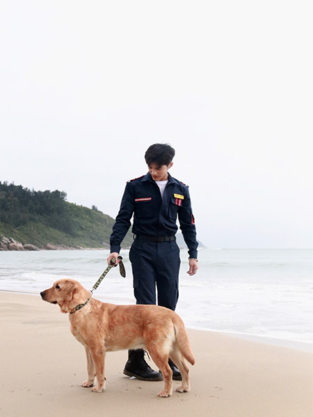 神犬小七第三季