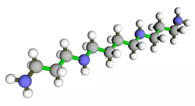 精胺：来自精液的“益寿分子”_百科TA说