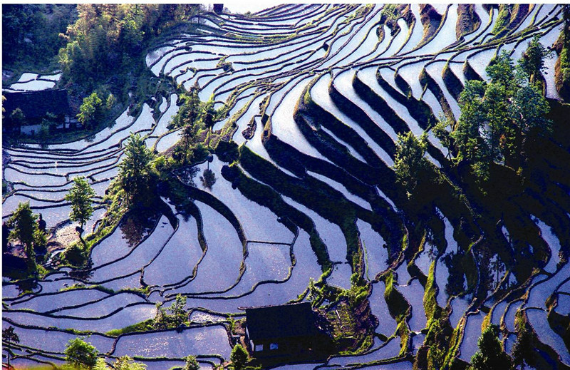 紫鹊界梯田国家级风景区