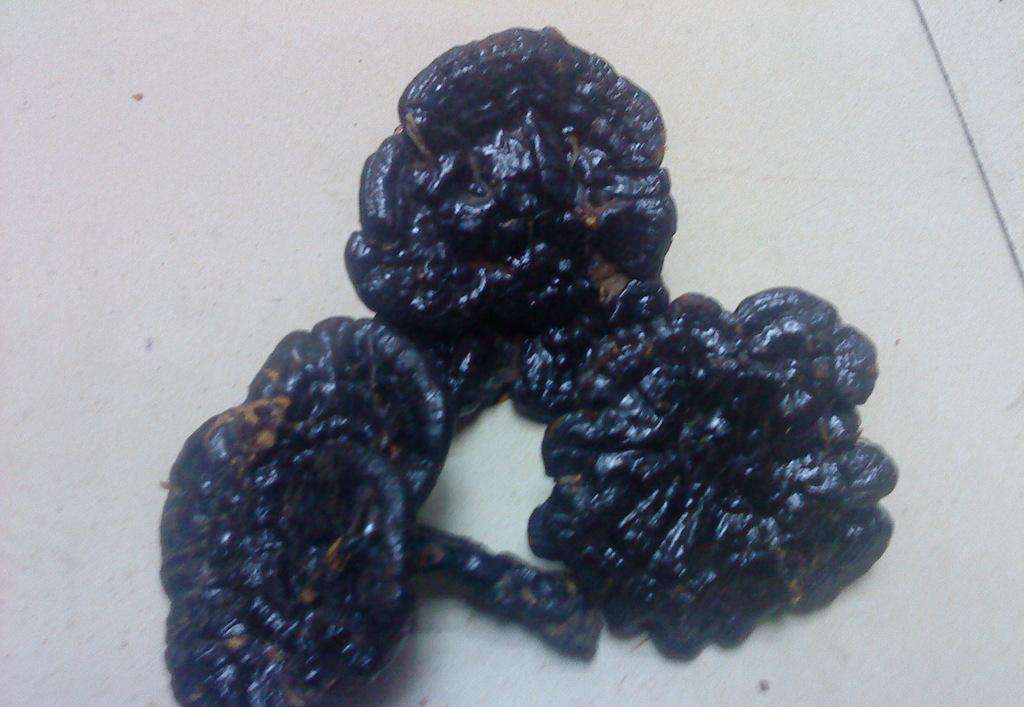 href="/item/玄芝/3627104" data-lemmaid="3627104">玄芝 /a>,黑云芝