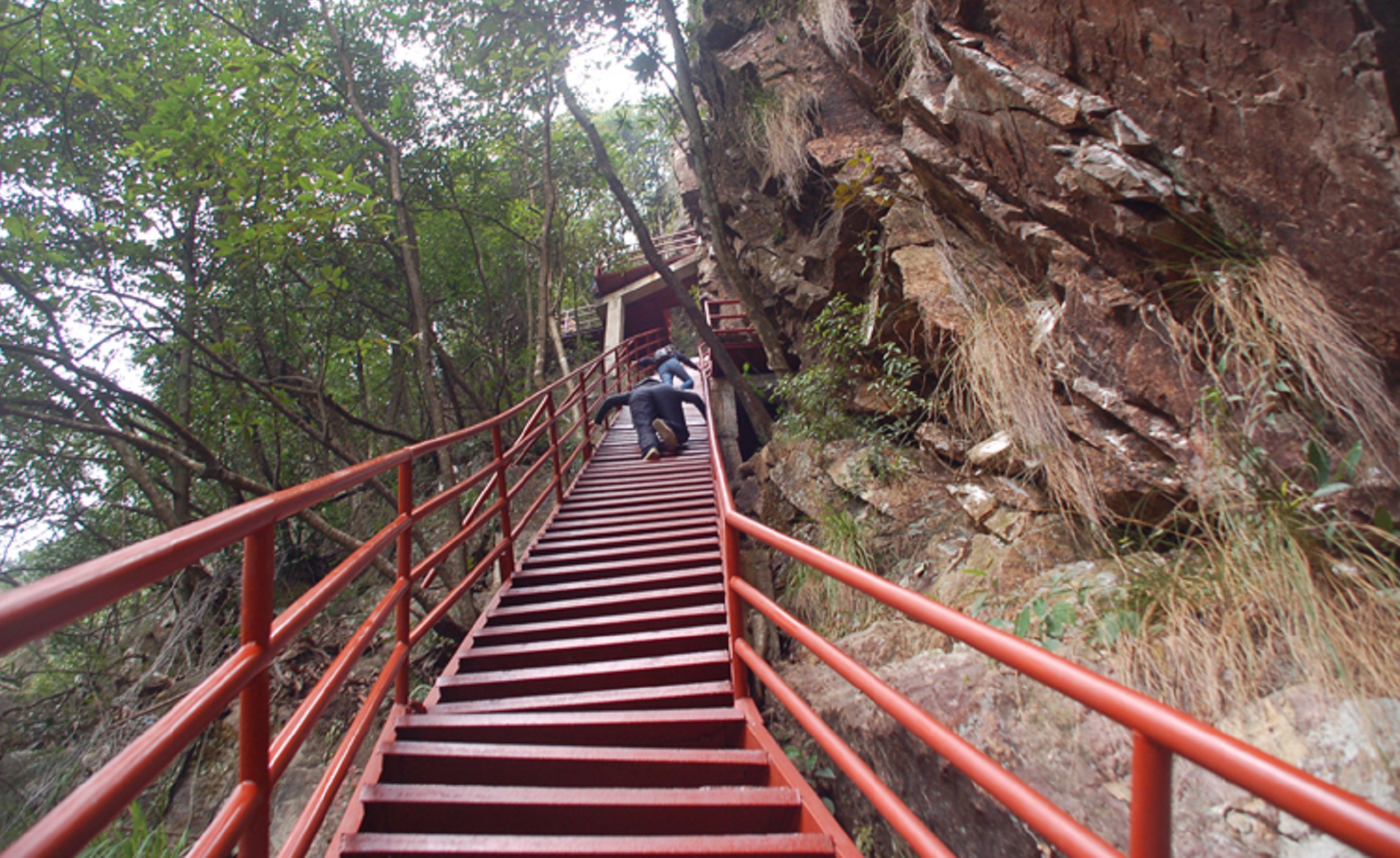 福建旗山国家森林公园