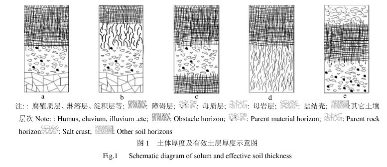 ">覆盖层 /a>  a target="_blank" href="/item/淋溶层/10755619"