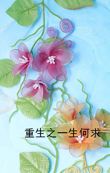 重生之一生何求