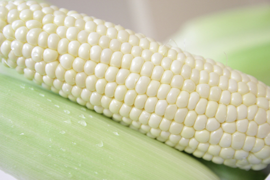 白玉米