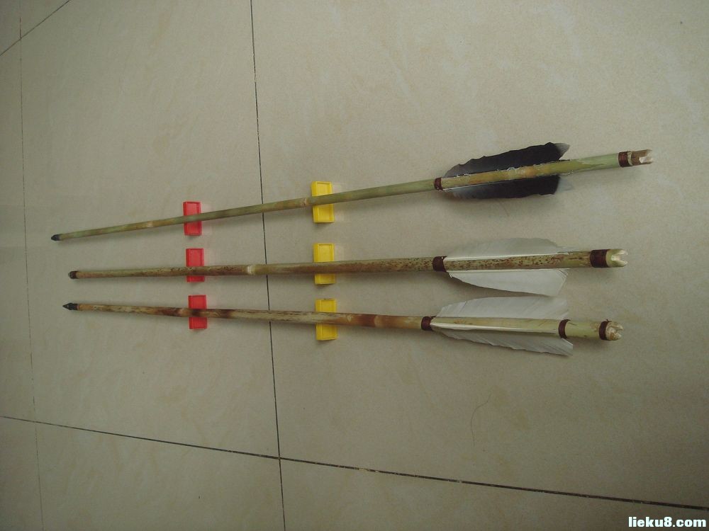  p>箭竹(fargesia spathacea franch)是禾本科,箭竹属竹类植物.