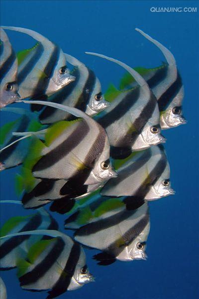 the republic of kiribati