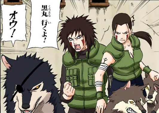  p>犬冢爪,日本漫画《 a target="_blank" href="/item/火影忍者/8702