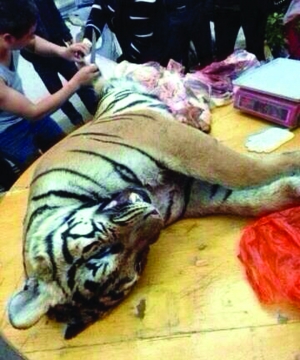 广西商人购买宰杀活虎案