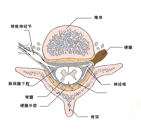 急性脑血管疾病的诊断和治疗
