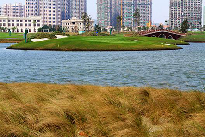 广西天隆三千海