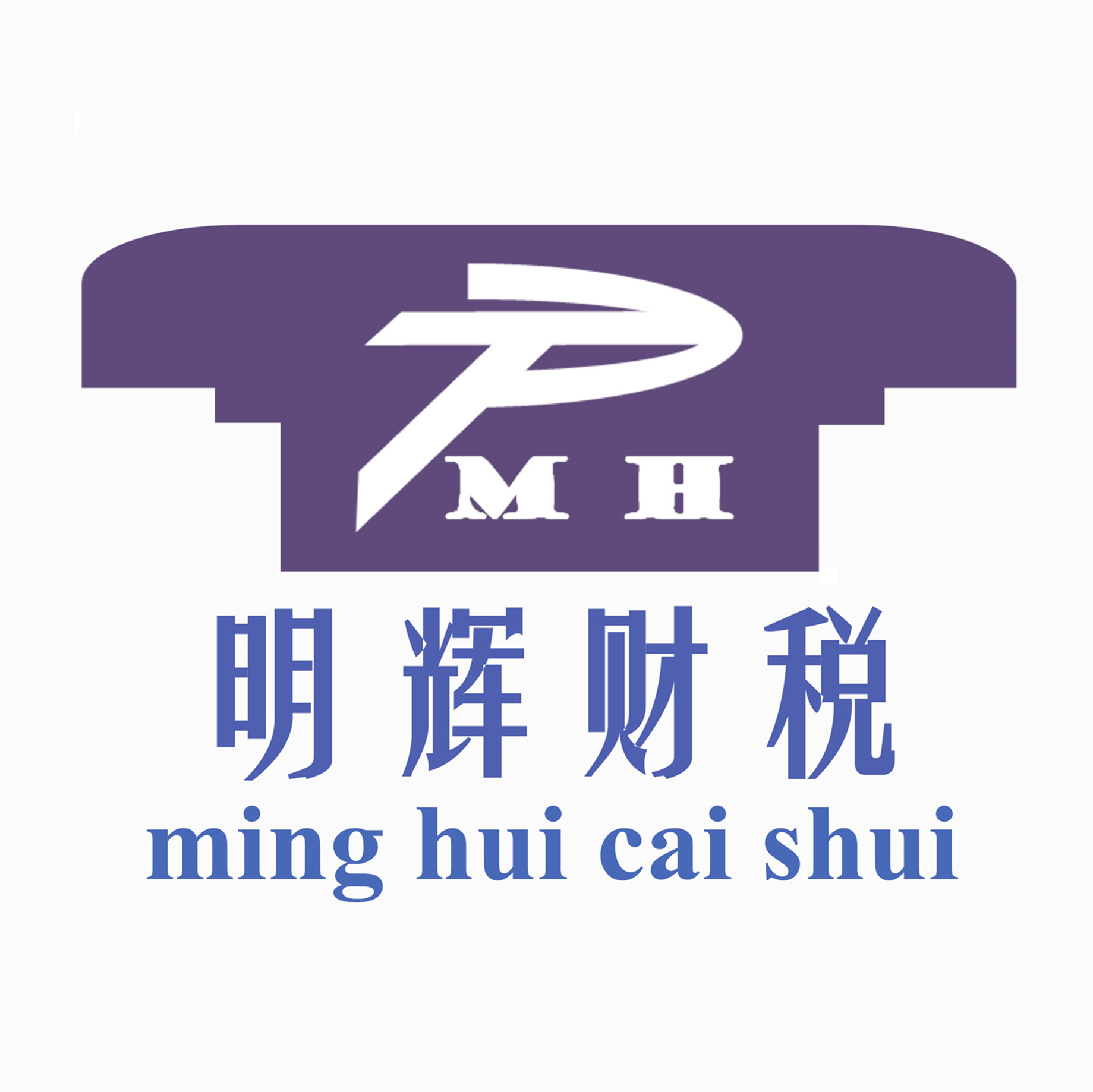 深圳市明辉财税咨询有限公司