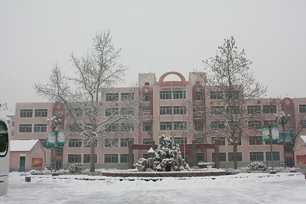 山东齐河县实验中学