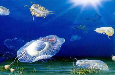 生命（生物体所具有的存在和活动的能力）_百度百科
