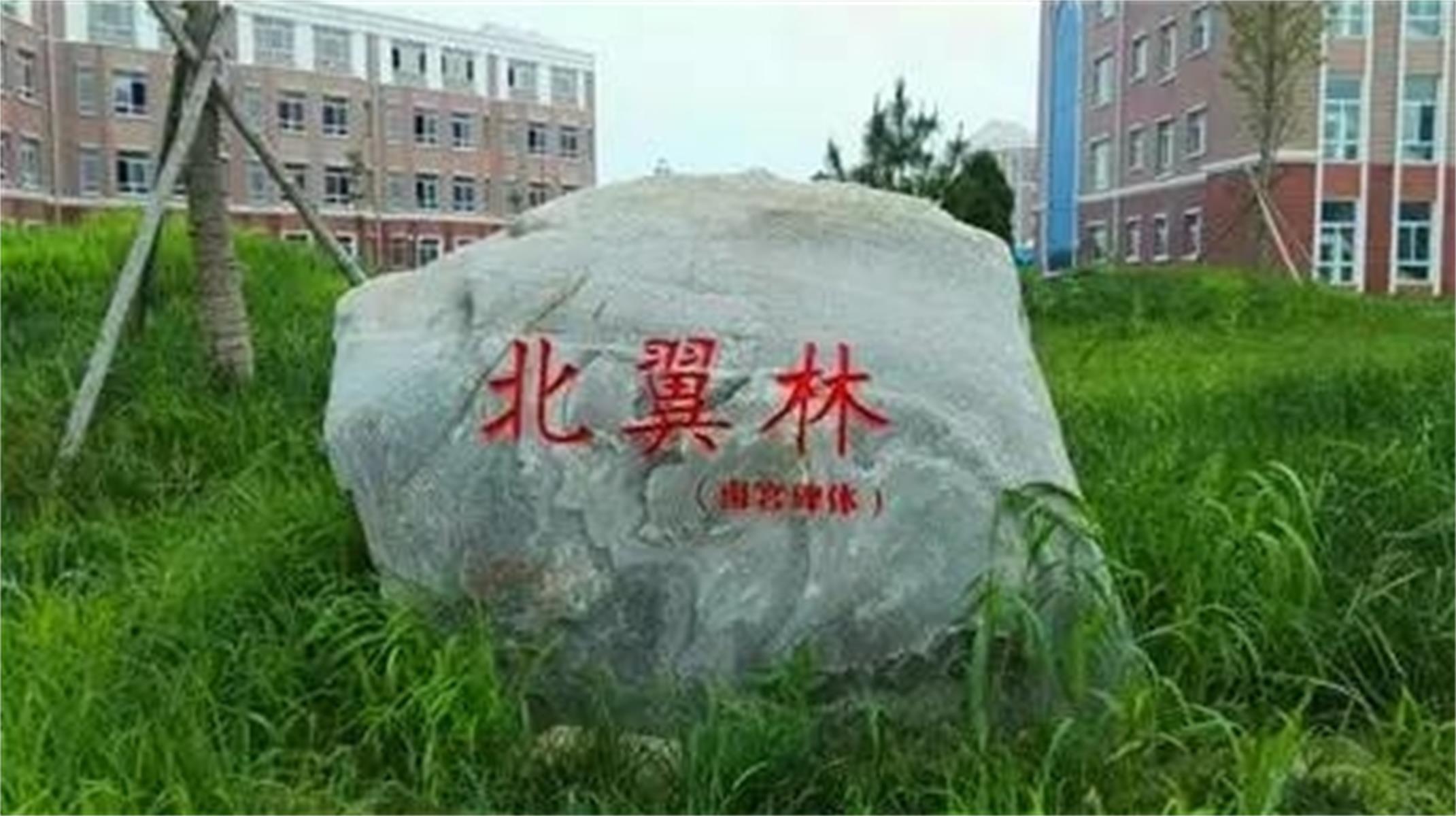 南宫市丰翼中学