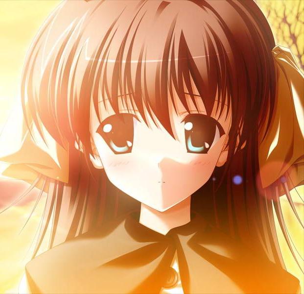 是游戏以及动漫作品《 a href="#" data-lemmaid="537">悠久之翼 /a>