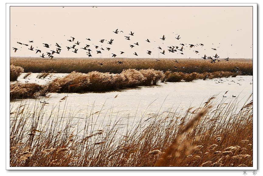 曹妃甸湿地迷宫