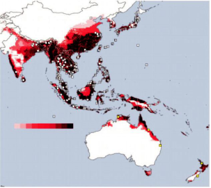  p>白纹伊蚊,也被称为 a href="#" data-lemmaid="10681600">亚洲虎蚊