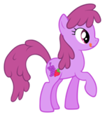 小马驹之友谊魔法