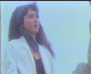 龙凤贼捉贼longfengzeizhuozei(1990)