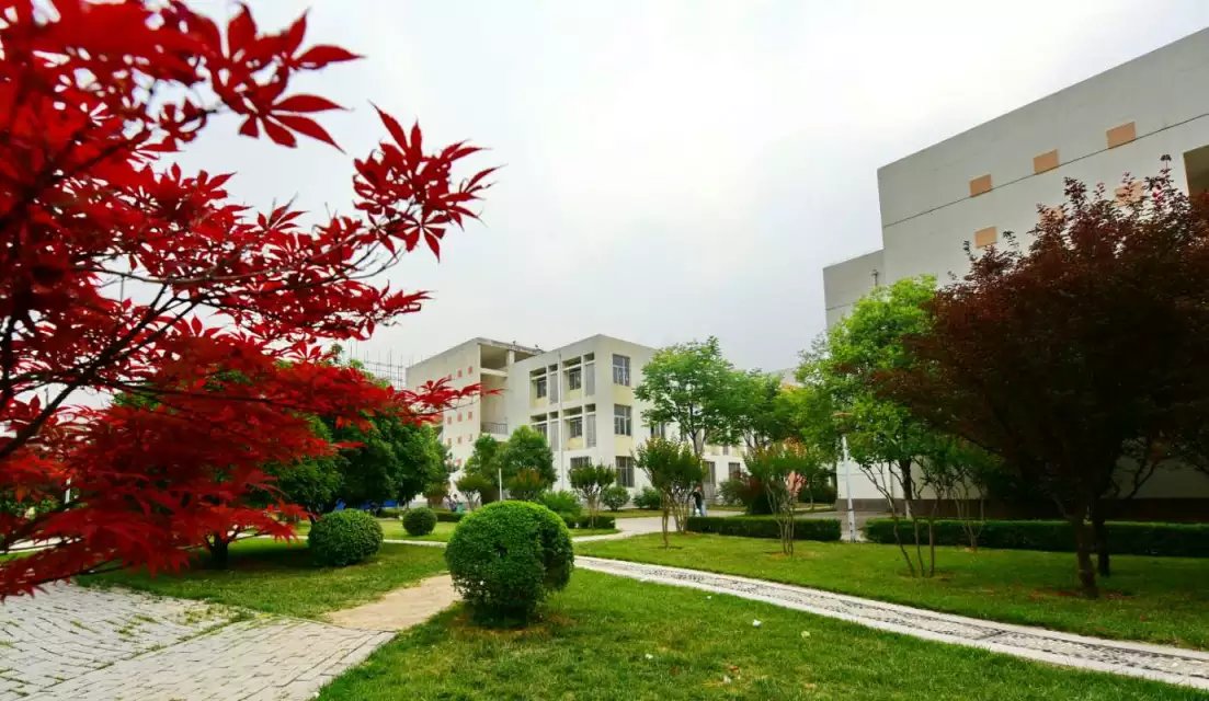 推拿职业学院(henan vocational college of tuina),位于河南省洛阳市