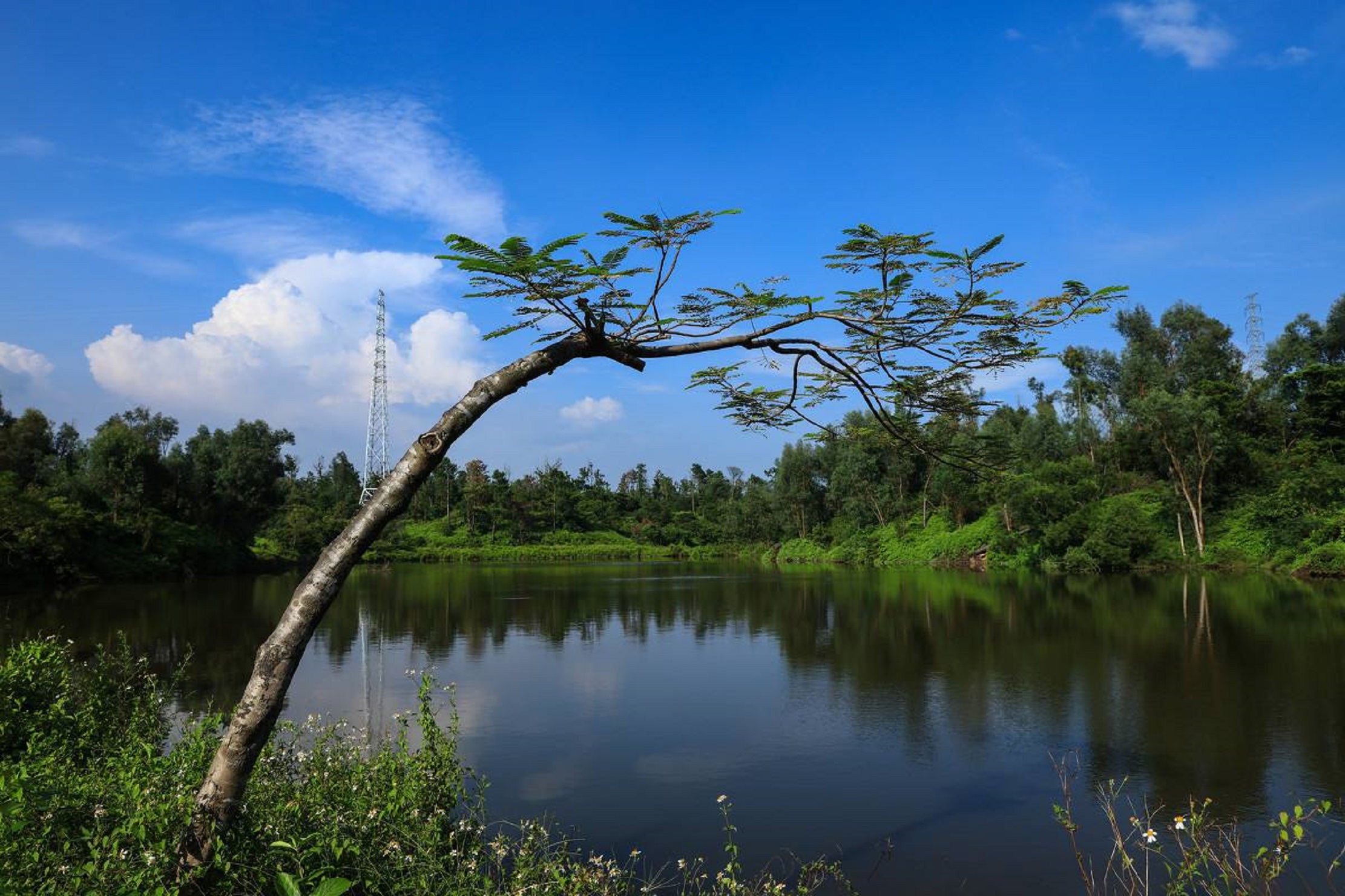 广东三岭山国家森林公园