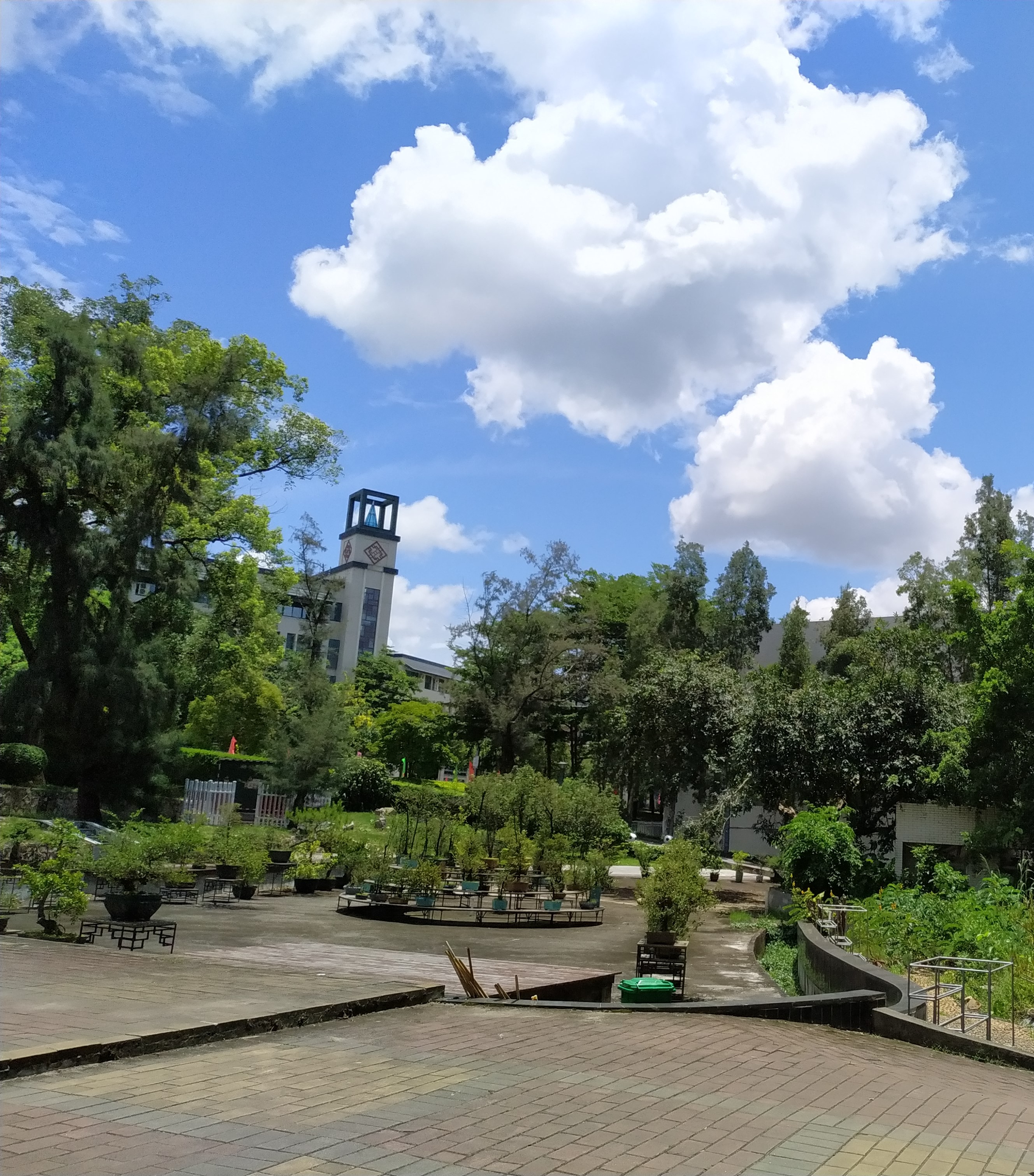 中山实验高级中学