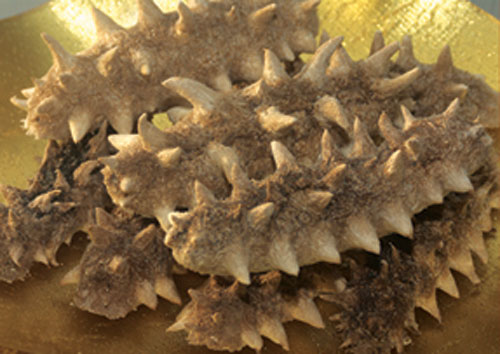  p>冻干海参是以鲜海参为原料,在真空环境加工制作而成的一道菜. /p>