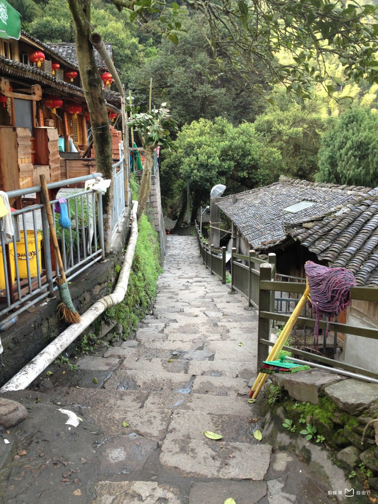  p data-id="gnbizb0gw3">岭上人家位于永嘉县鹤盛乡岭上村内,坐落在