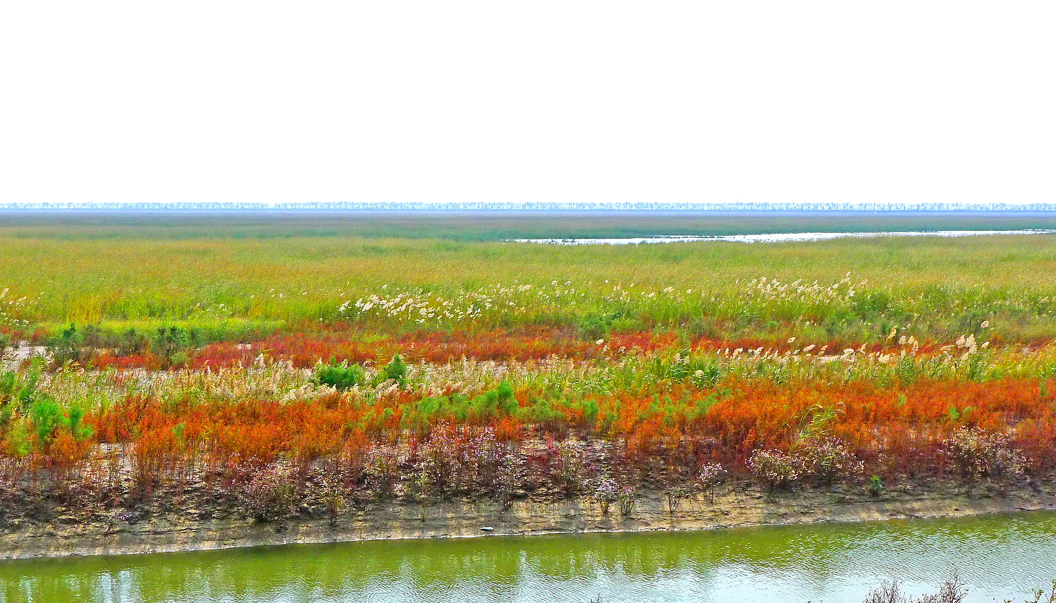 项目开发充分利用大丰沿海湿地资源,结合中华麋鹿园aaaa级旅游景点