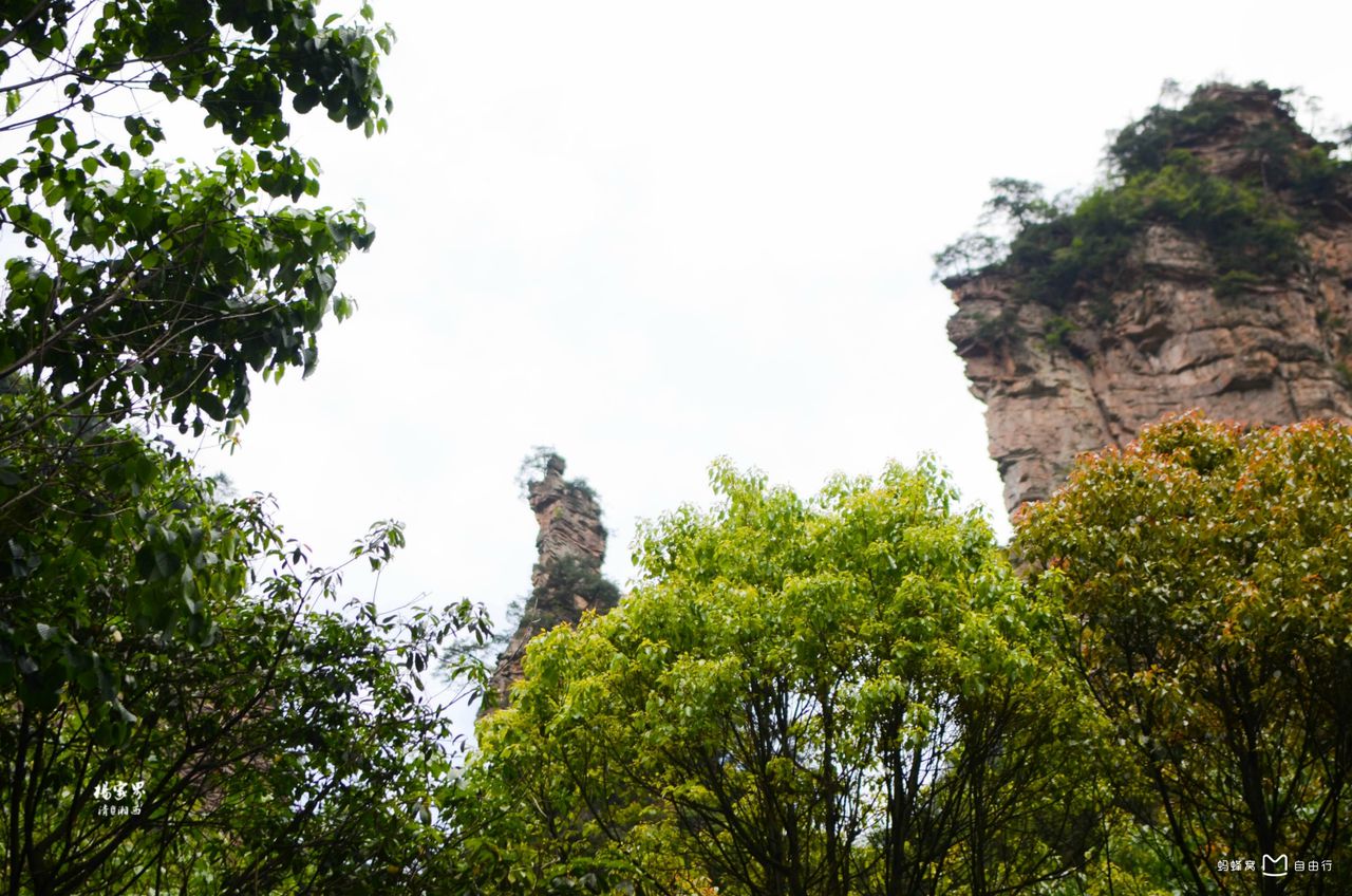  p>杨家界风景区东接 a target="_blank" href="/item/张家界/370496"