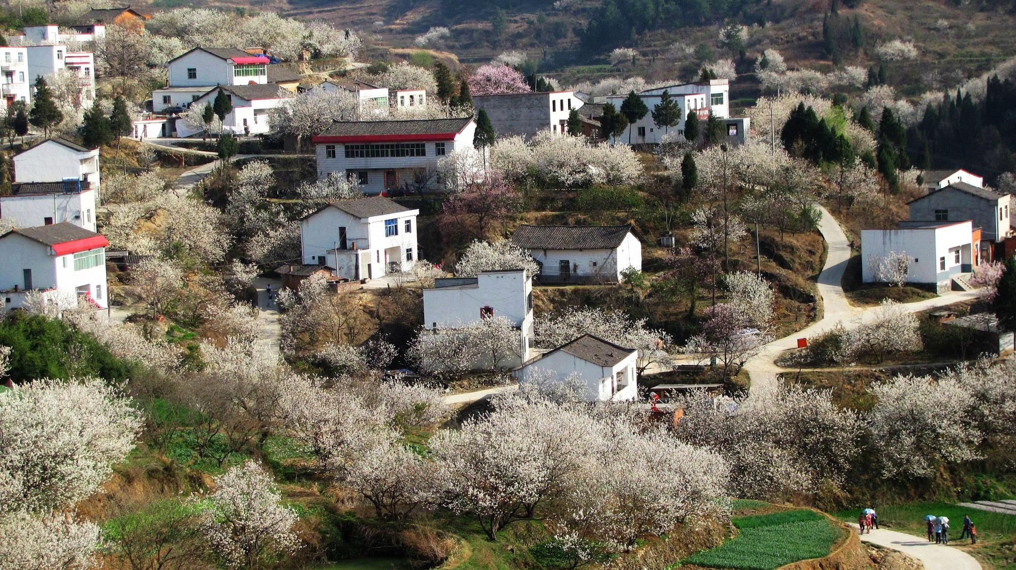 樱桃沟