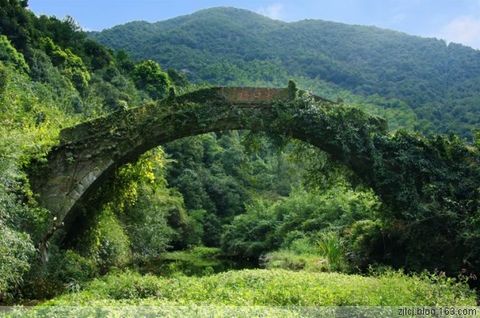 由东江和西江汇流成夏履江,自南向北流经夏履镇全境,至杨汛桥镇前童通