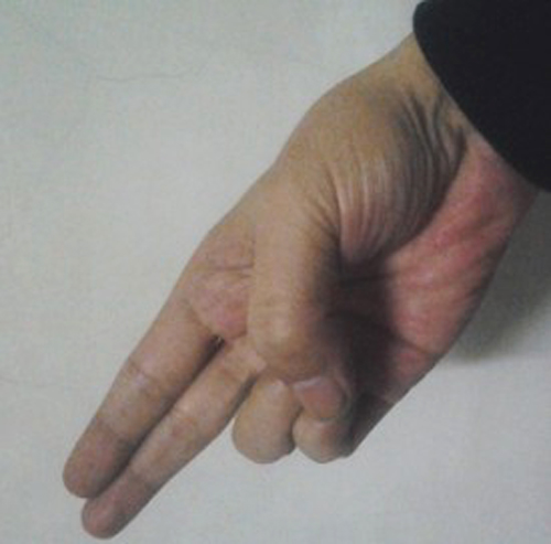  p>剑指,也叫剑诀,其姿势为 a target="_blank" href="/item/无名指