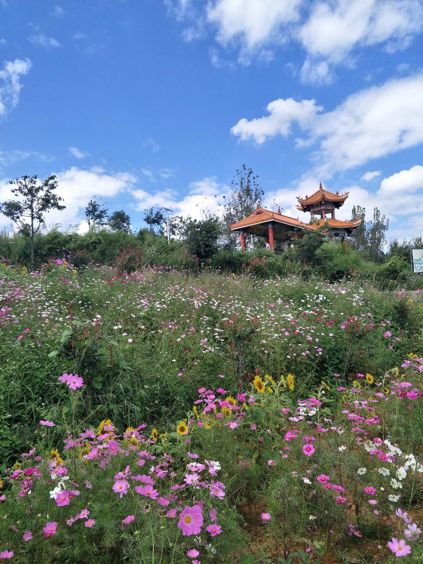  p>靖安哨,位于云南省昆明市宜良县匡远镇.