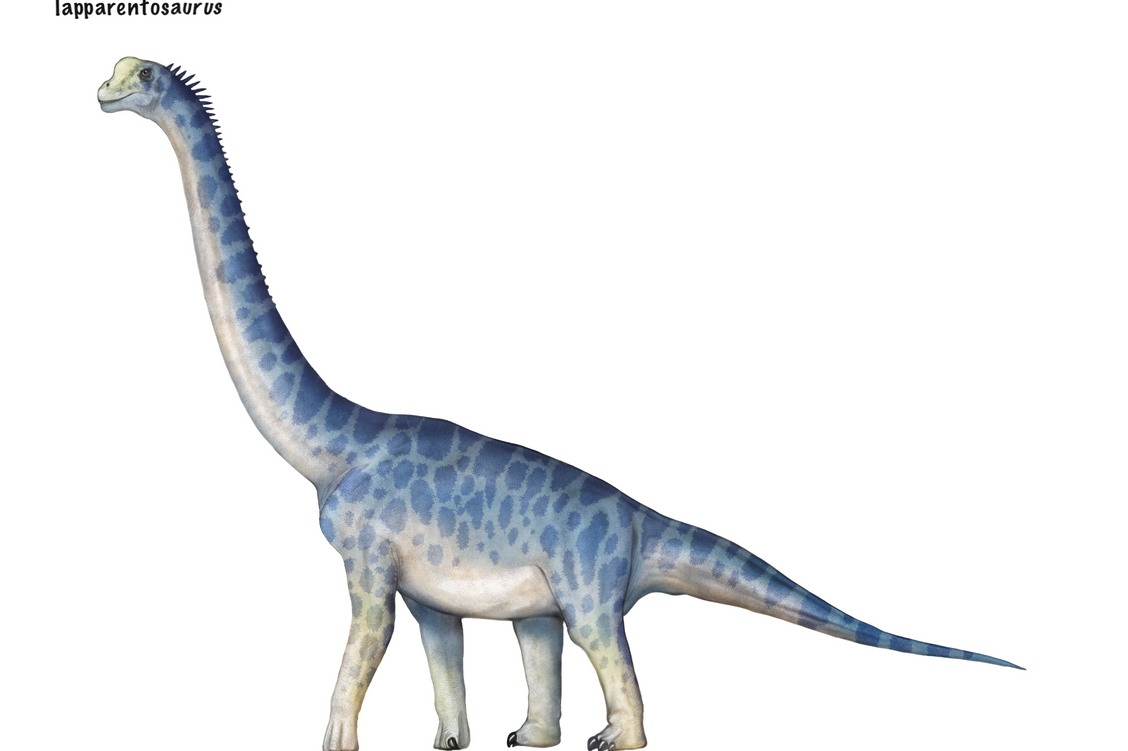  p>拉伯龙属(学名:lapparentosaurus)又名拉巴伦