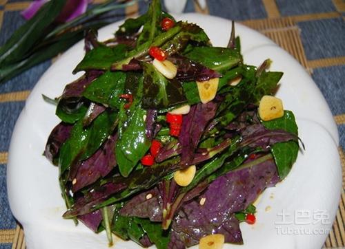 凉拌紫背菜