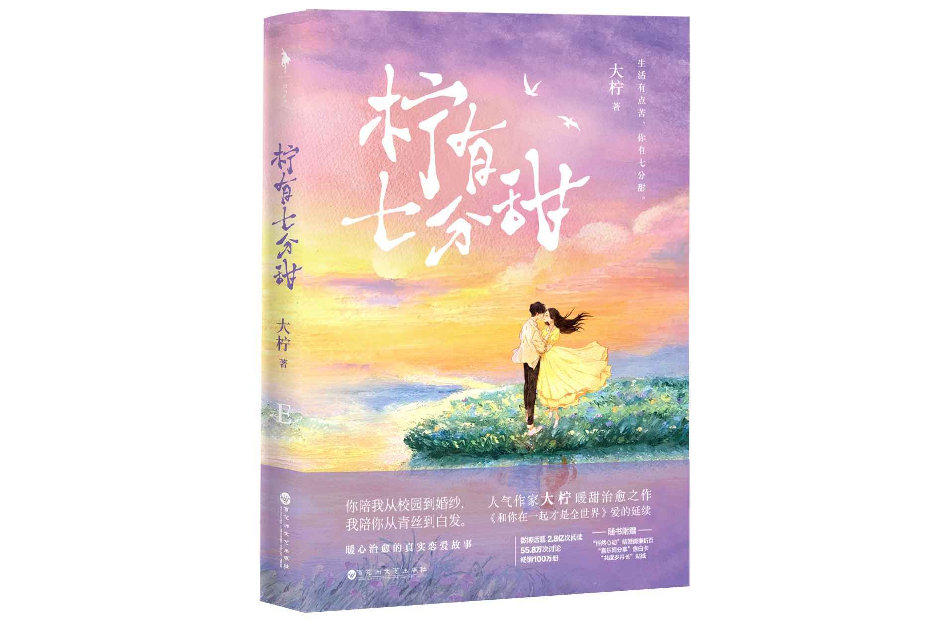 大柠用真实有趣的笔触记录了与先生林知逸从校园到婚纱,从职场到天涯