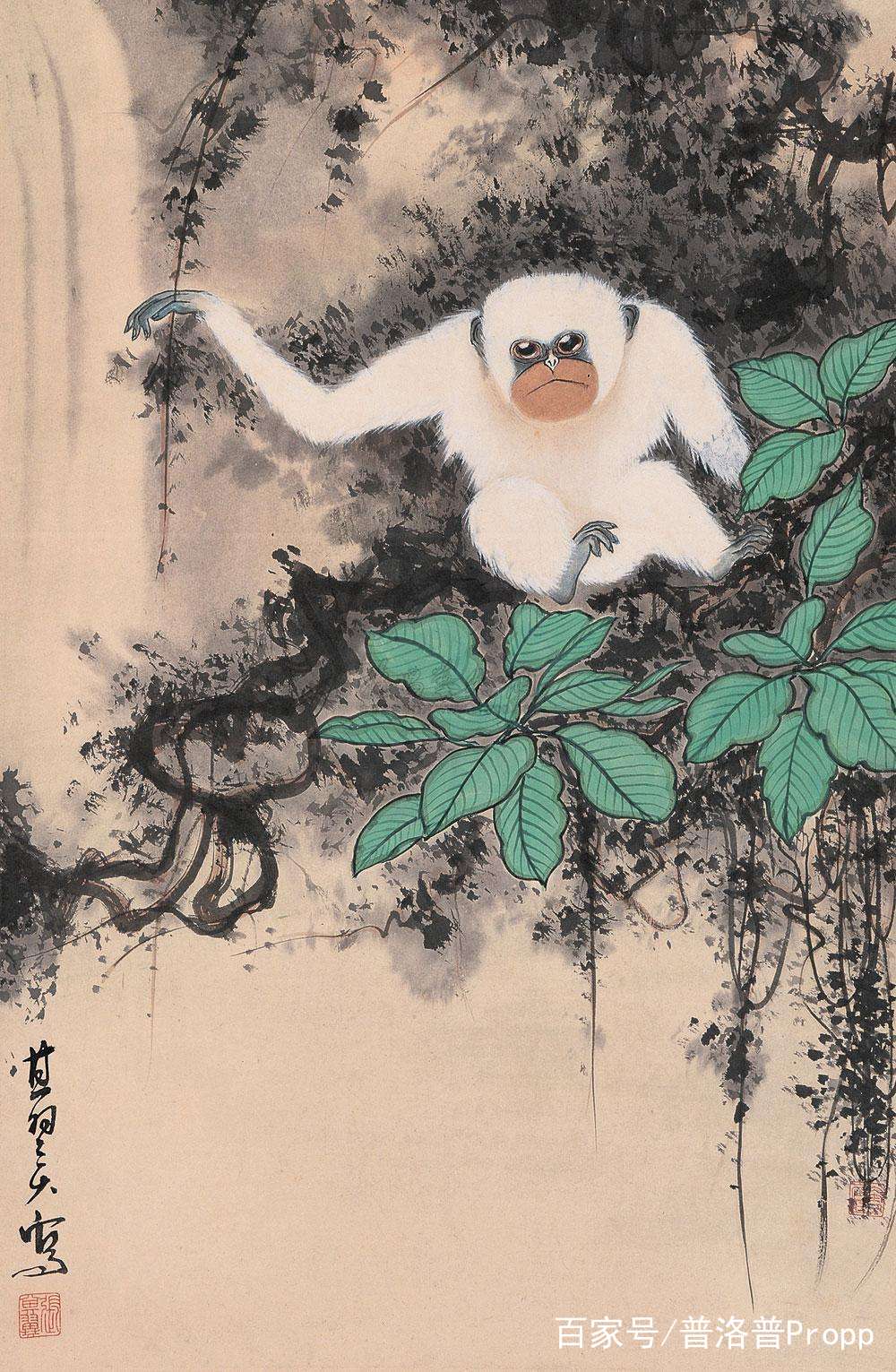 张无忌“白猿授书”获得九阳神功秘籍其中的深刻隐喻_百科TA说