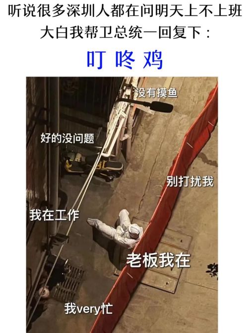 叮咚鸡_百度百科
