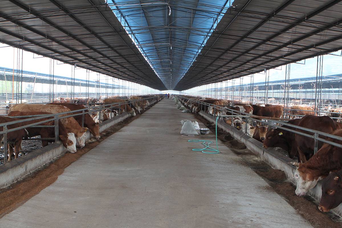  /p> p>2021年11月12日,入选《全国农村创业园区(基地)目录(2021)》.