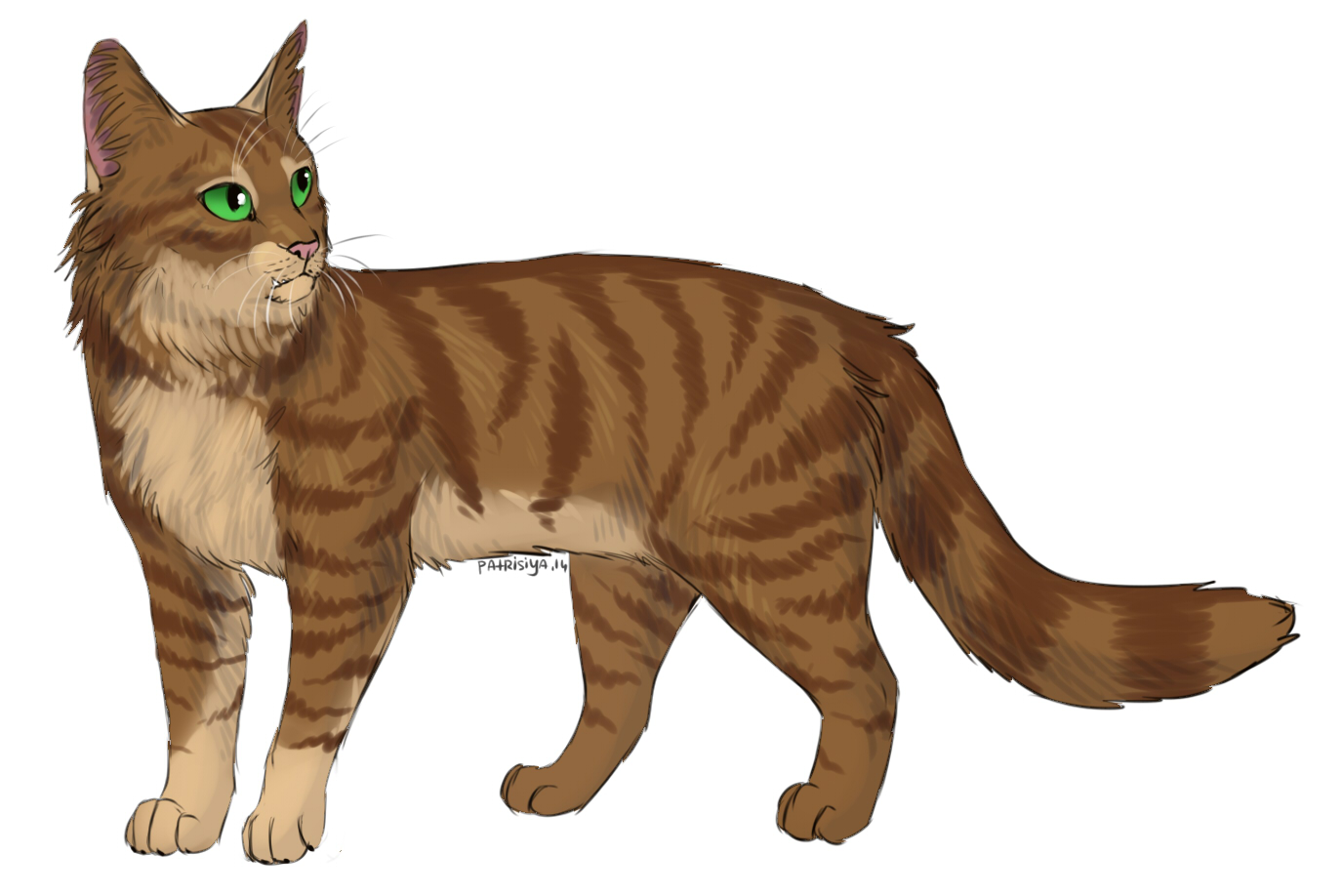  p data-id="gnwn6i142k">《 a target="_blank" href="/item/猫武士