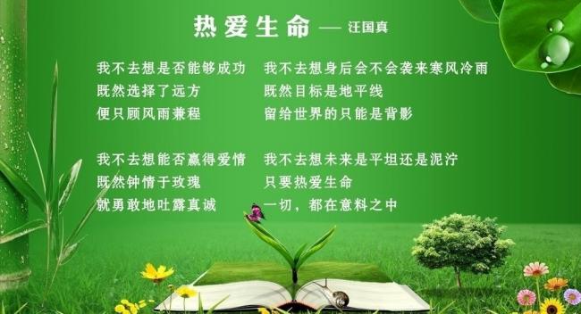 热爱生命