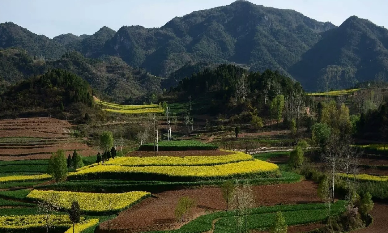 李山村