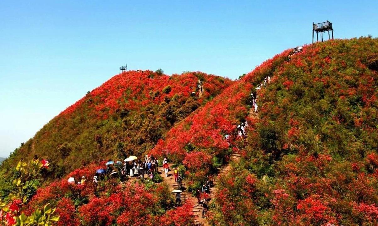 广寒寨乡
