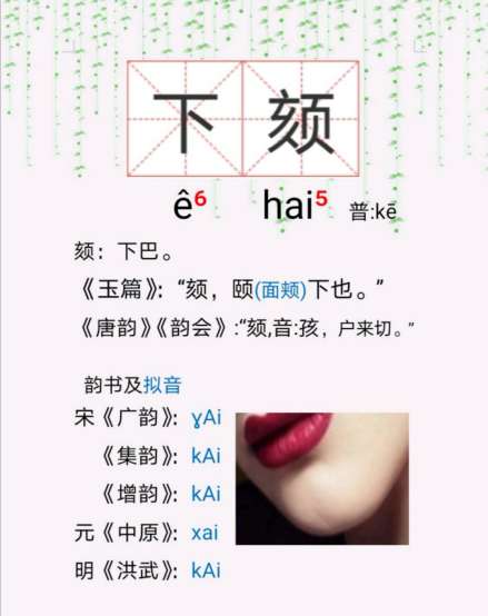 下颏_百度百科